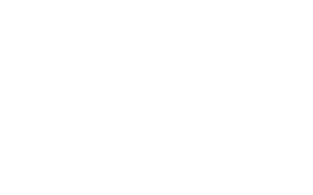 FILM FEVER